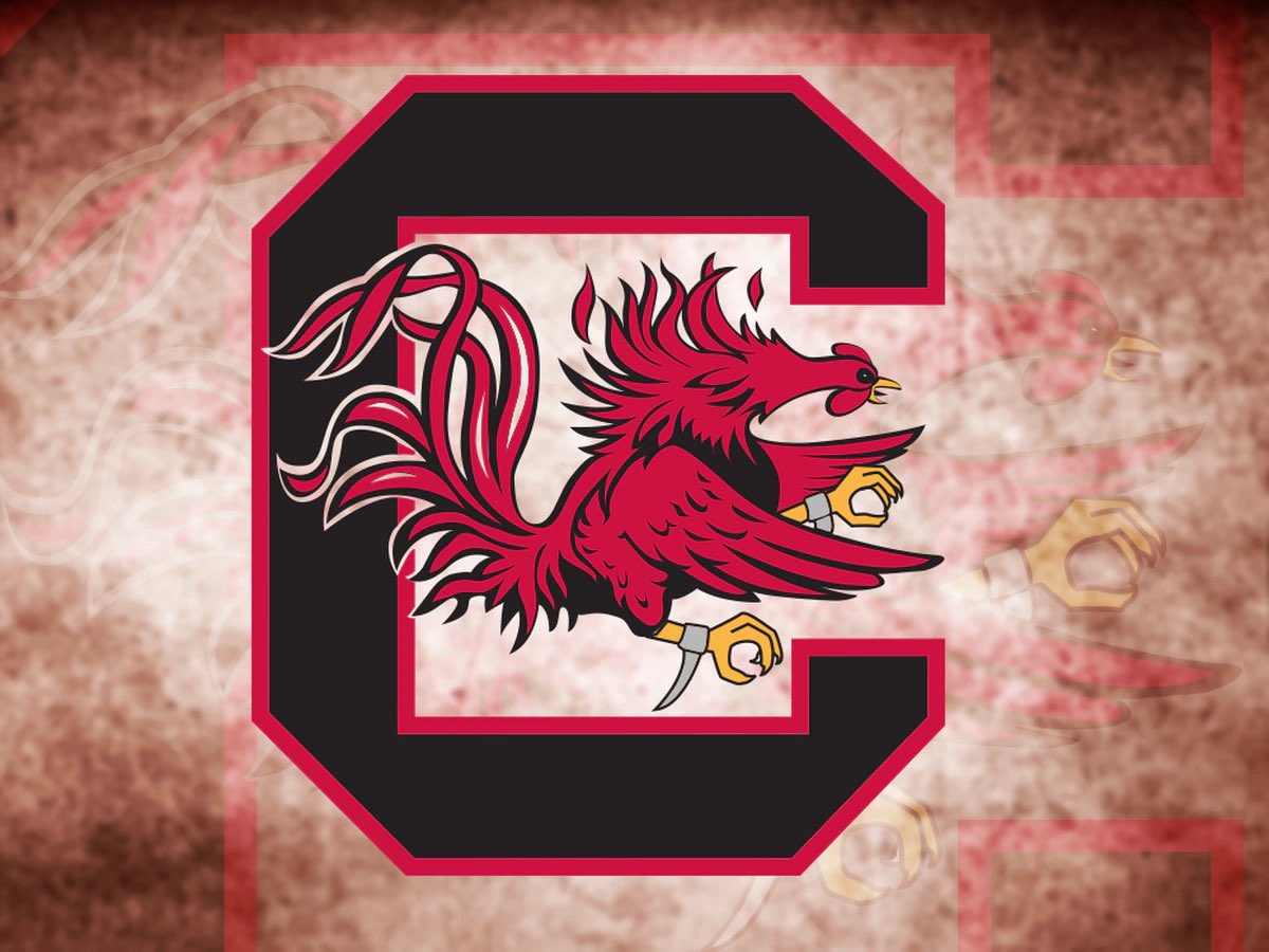 yungluth89's tweet photo. I am beyond blessed to announce my commitment to the University of South Carolina. Go @GamecockBasebll https://t.co/9nYltCmeF6