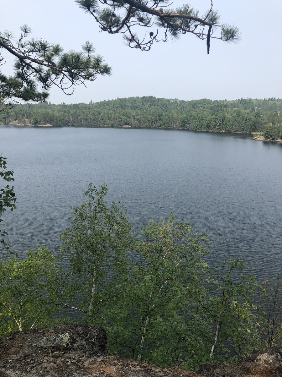 HeidiClendening's tweet photo. Discovered a new trail today.💞 #happywanderer #truenorth https://t.co/bqqsjWEGLH