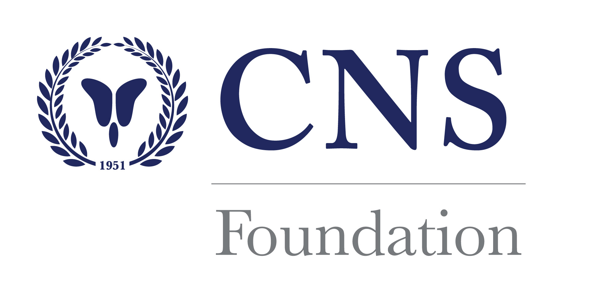 CNS on Twitter: "CNS Foundation is grateful to generous donors who support awards and scholarships to advance worldwide patient care. Learn about all the awards and scholarships offered at https://t.co/0PROSv7b7V. https://t.co/LtDi0Bprbo" /