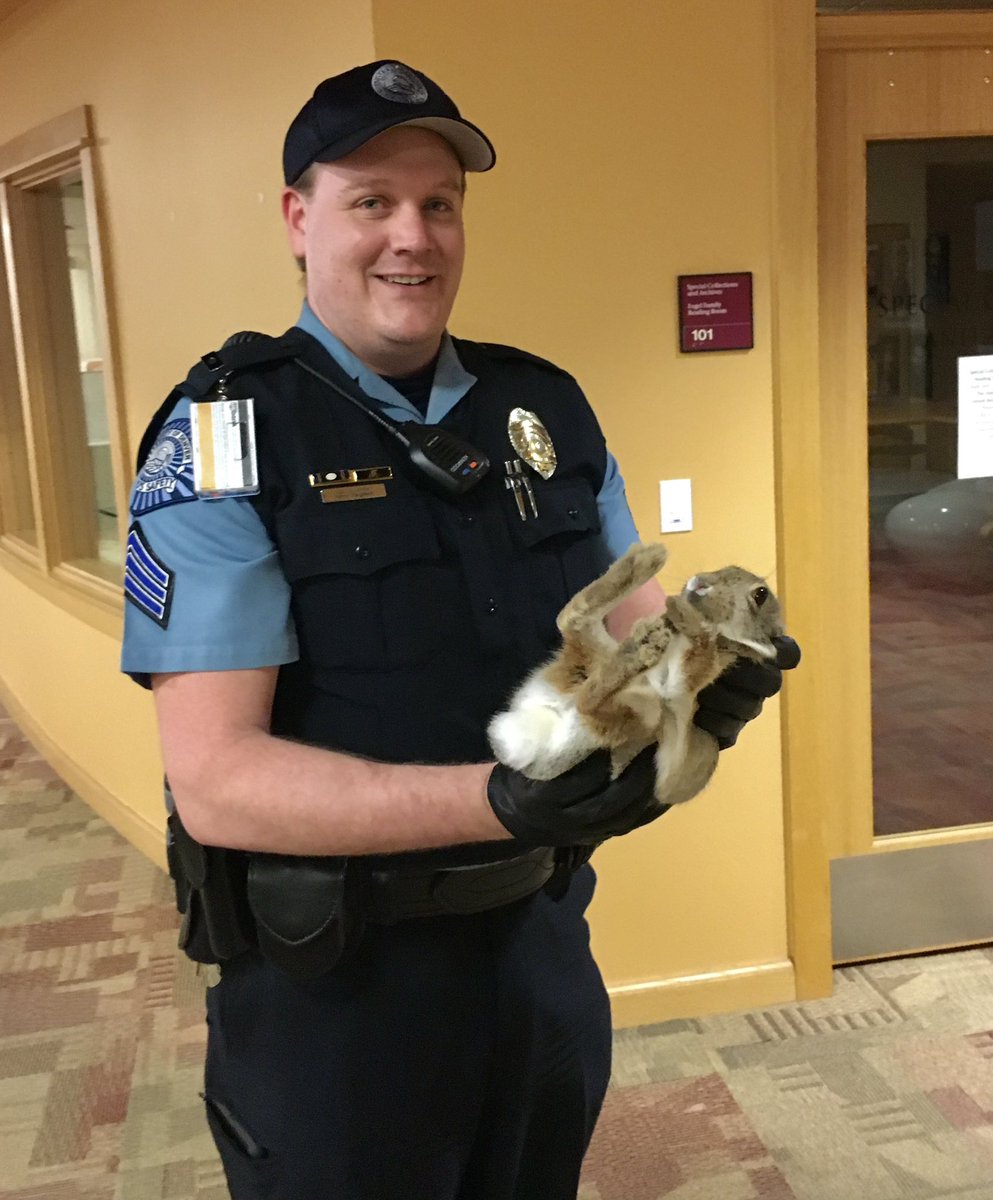 DUCampusSafety's tweet photo. This rabbit ran into the wrong room! Thanks, Sergeant White, for coming to the rescue! https://t.co/rnCS4IBQjJ