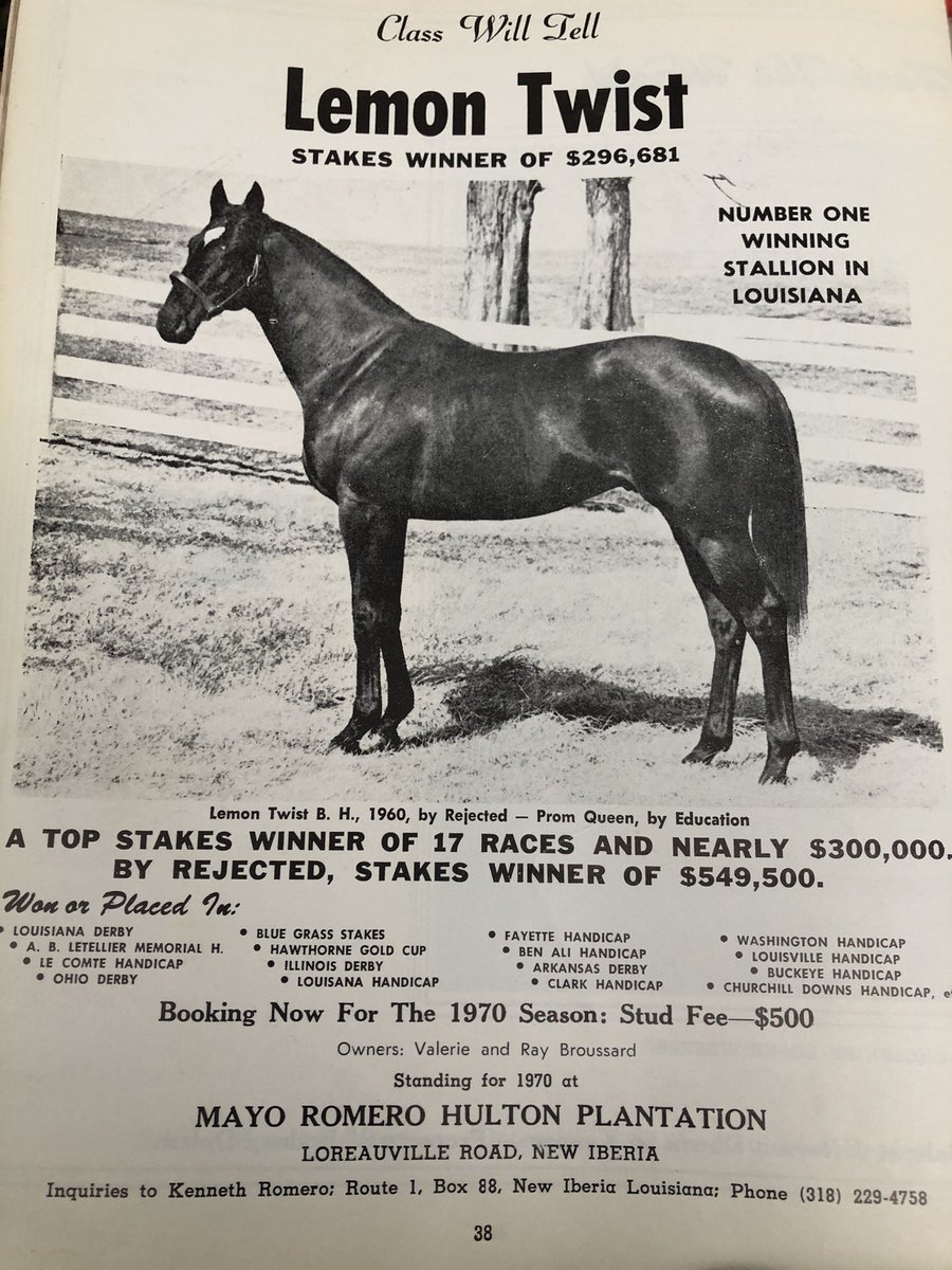 JackpotNick's tweet image. Back when you could breed to a top class runner for just $500!  One of my old favorites as a kid #LemonTwist 🍋