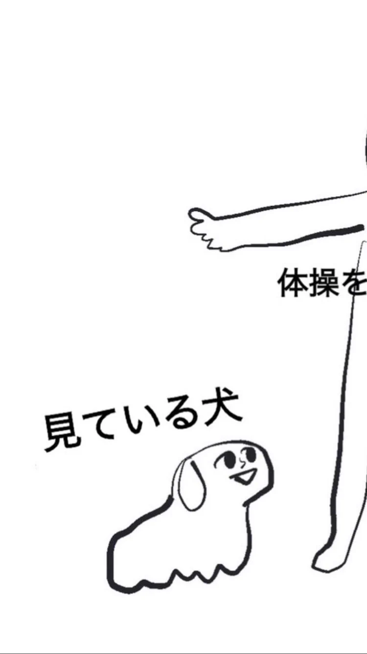 @yoiotto88 二枚目の画像の顔からしてシーズーかな？ 