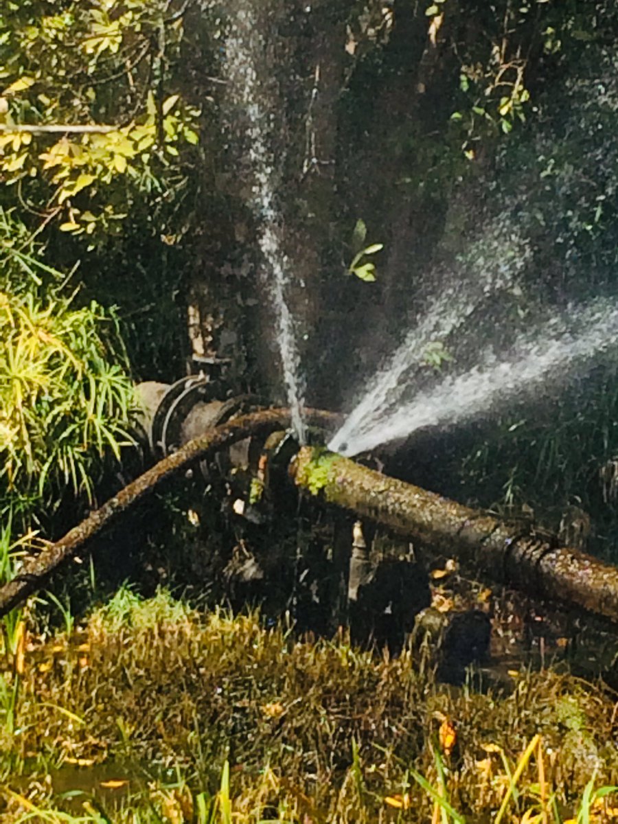 I’m now into serious business.staying outside Zimbabwe wasted most of my time