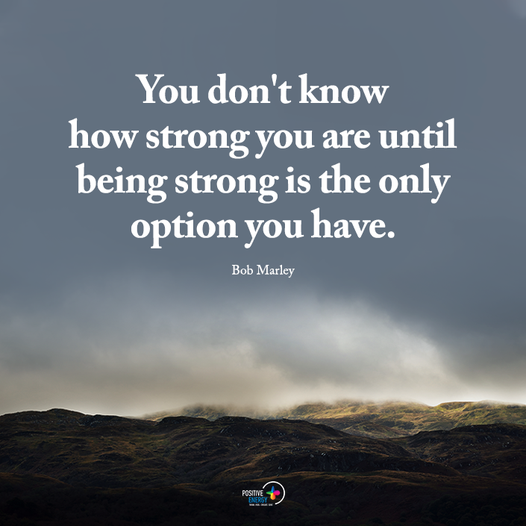 TrainingMindful's tweet photo. https://t.co/w7u9NiWdV8