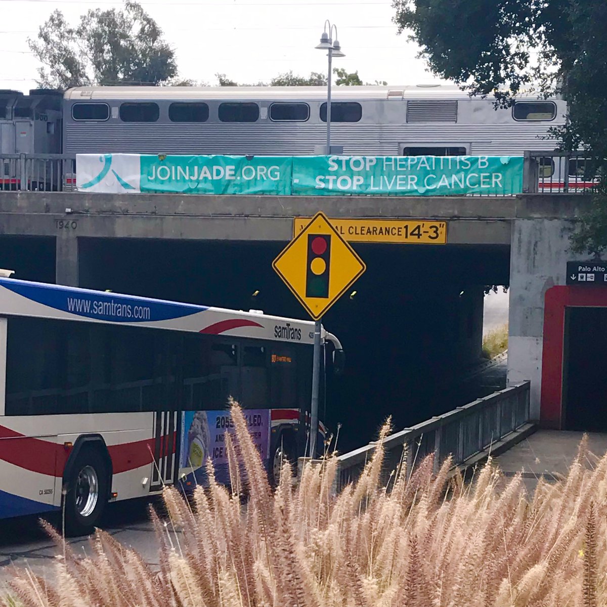 Keep an eye out for our #JoinJade banners on University Avenue in Palo Alto! Together we can stop #hepatitisB and #livercancer! Visit joinjade.org to learn more. <a href="/cityofpaloalto/">City of Palo Alto</a>