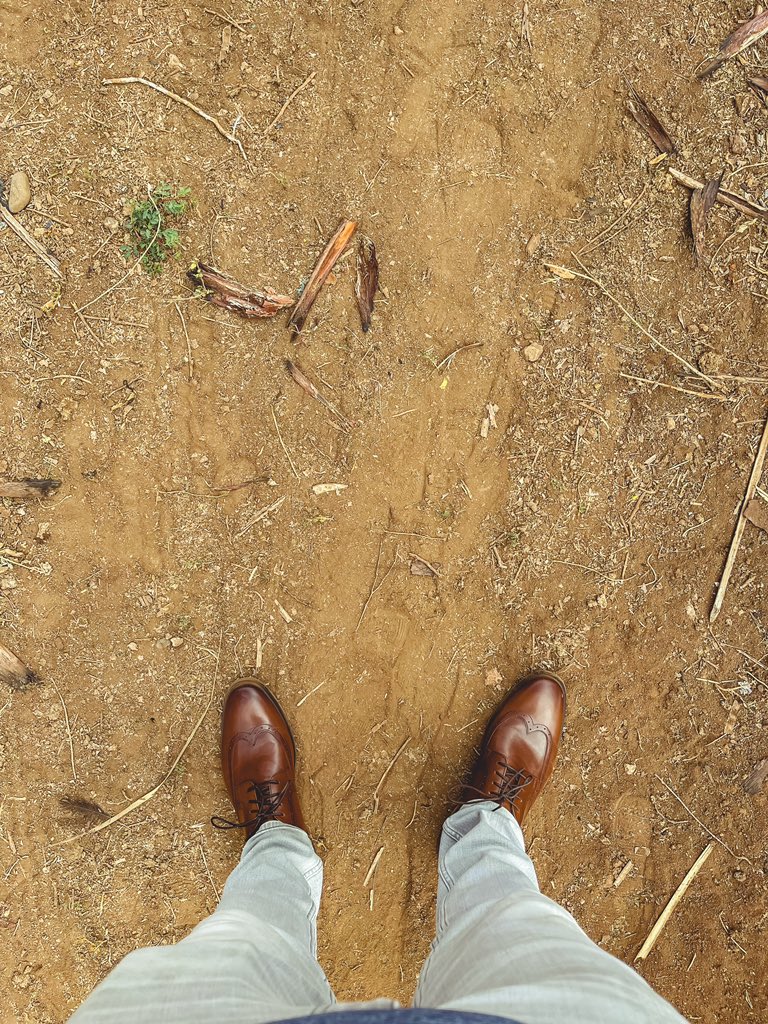 CrazyShermans's tweet photo. Yesterday I spoke from the heart to a rural church that we’ve been investing in about Proverbs 3:5-6. That verse has been so instrumental in my faith journey, and I remember it often as I look at where He has led me even in the wildest of trials and … https://t.co/rlv4Uq0Ttl https://t.co/gOat8AIGWw