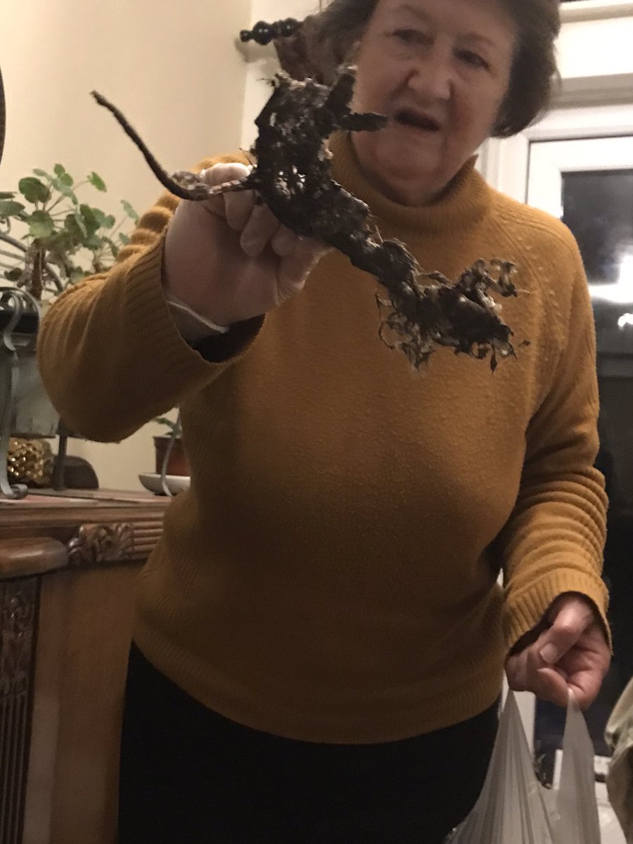 MrLloydSpandex's tweet image. Mum: haha look at this leaf I found that looks like a rat 
Me: That IS a decomposed rat. 
Mum: