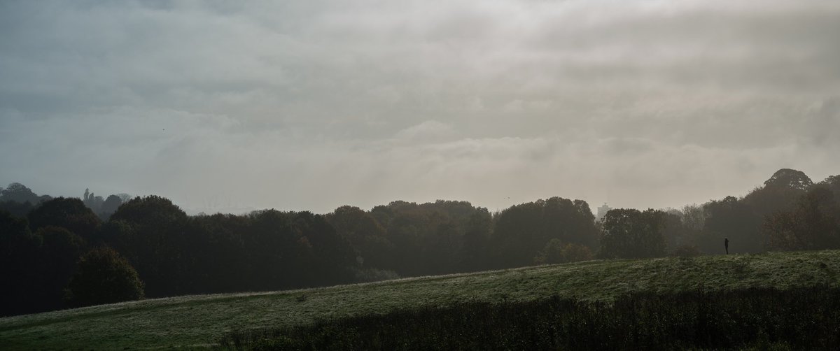 Ruth Greenberg tweet media