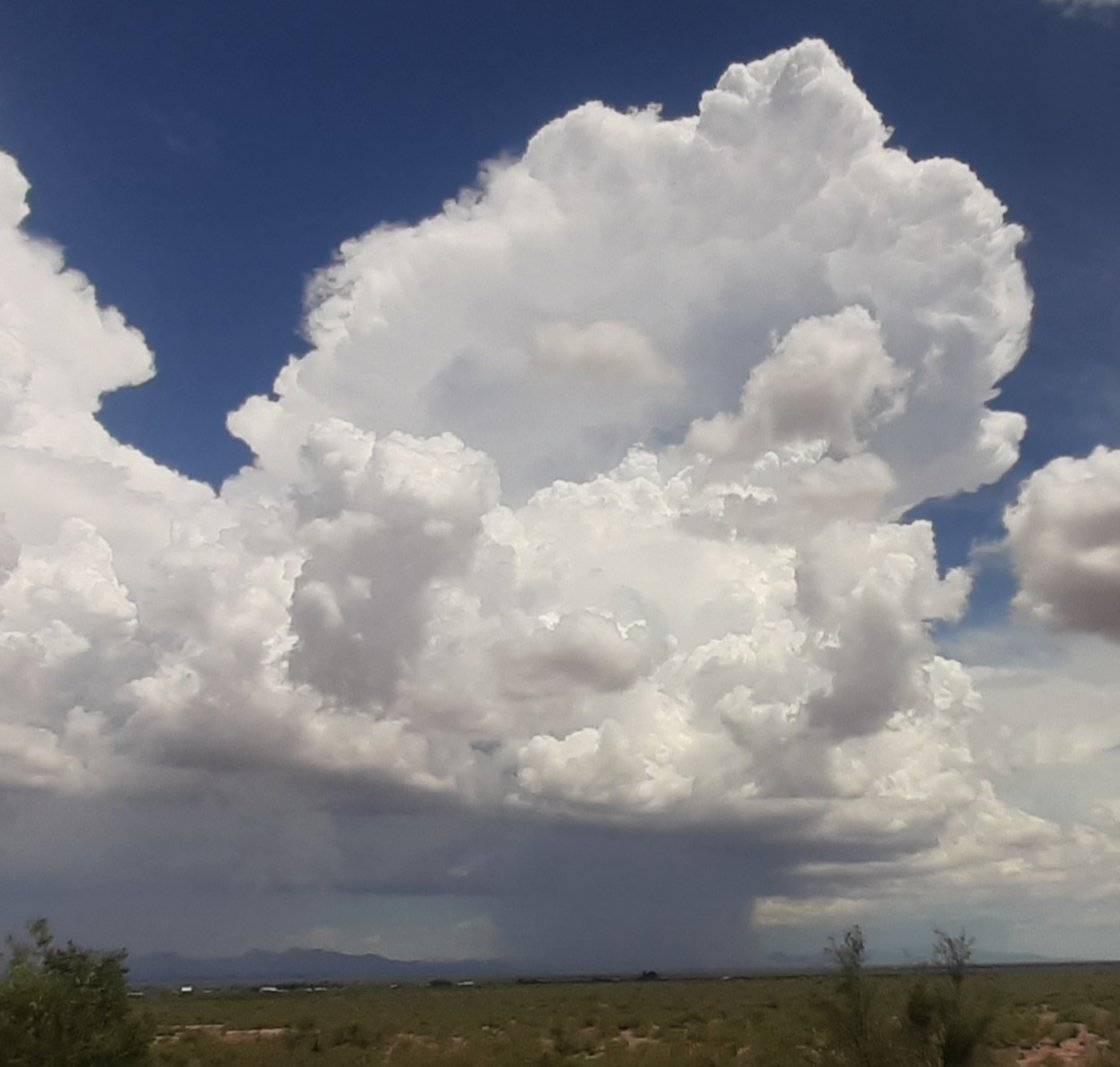 Downburst over Douglas Arizona #azwx