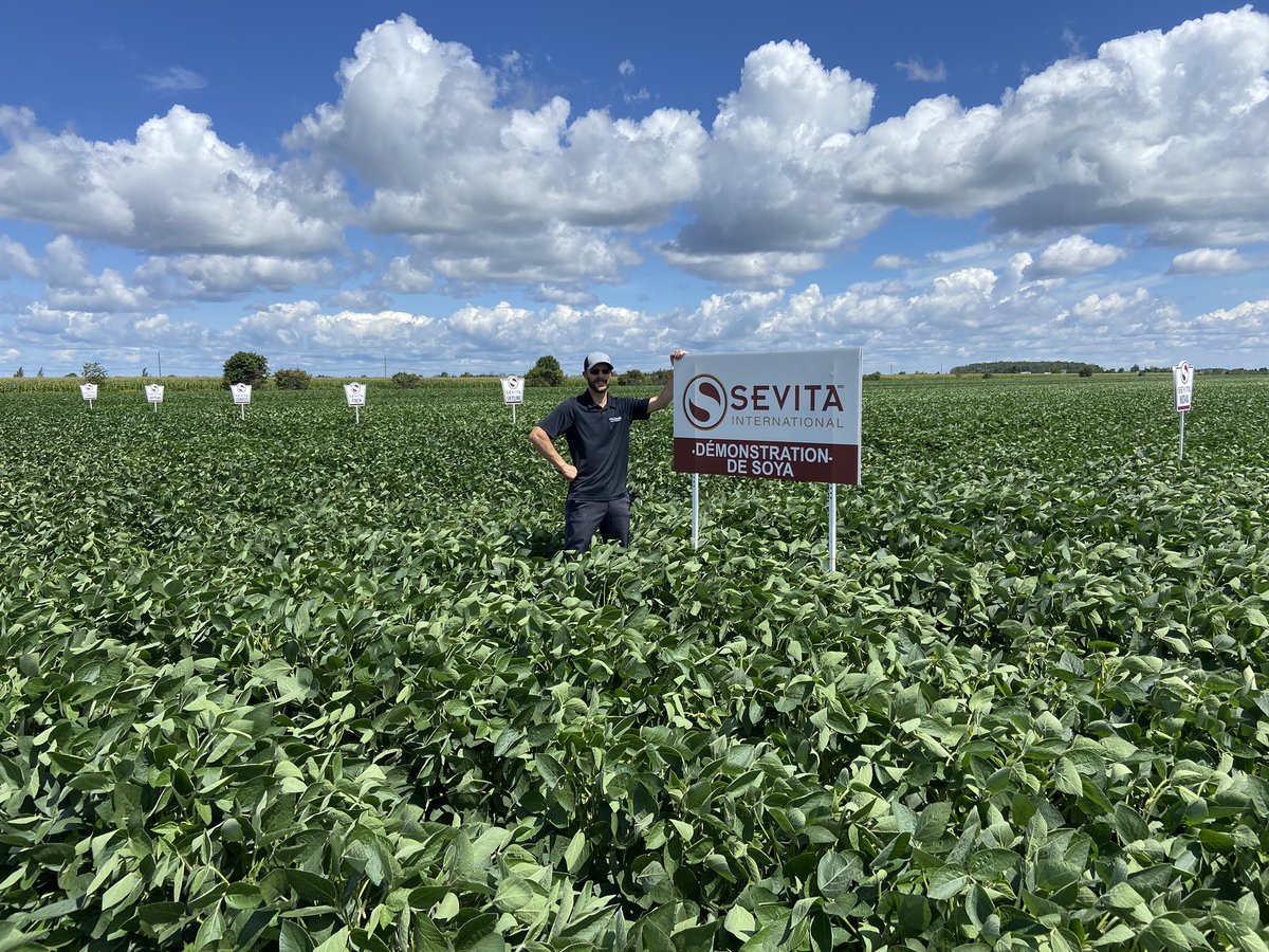 Installation de quelques pancartes! 

🚩 Superbe parcelle de démonstration!
🚩 7 variétés soya conventionnel
🚩 7 variétés soya OGM

<a href="/Sevita_Int/">Sevita International</a>