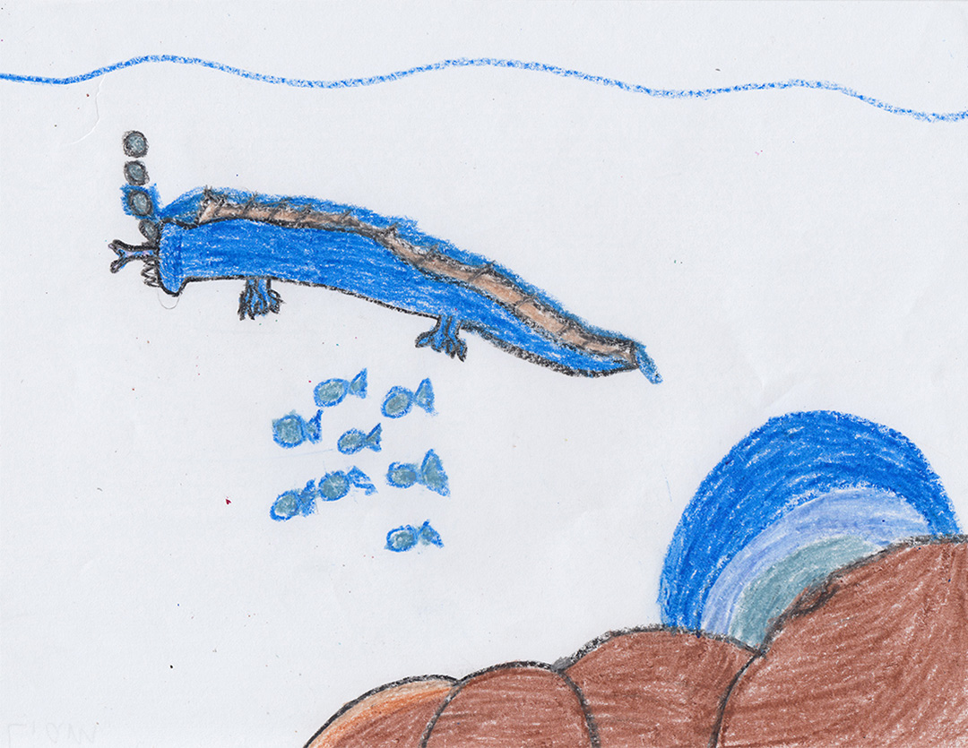 So excited to finally be able to reveal my #themonsterproject monster, created in collaboration with little Liam! 🐋 

See all 125 monsters here: themonsterproject.org/monster-galler…

#ocean #mythicalcreature #seamonster #dragon #picturebook #childrensillustration #kidlit  #illustration