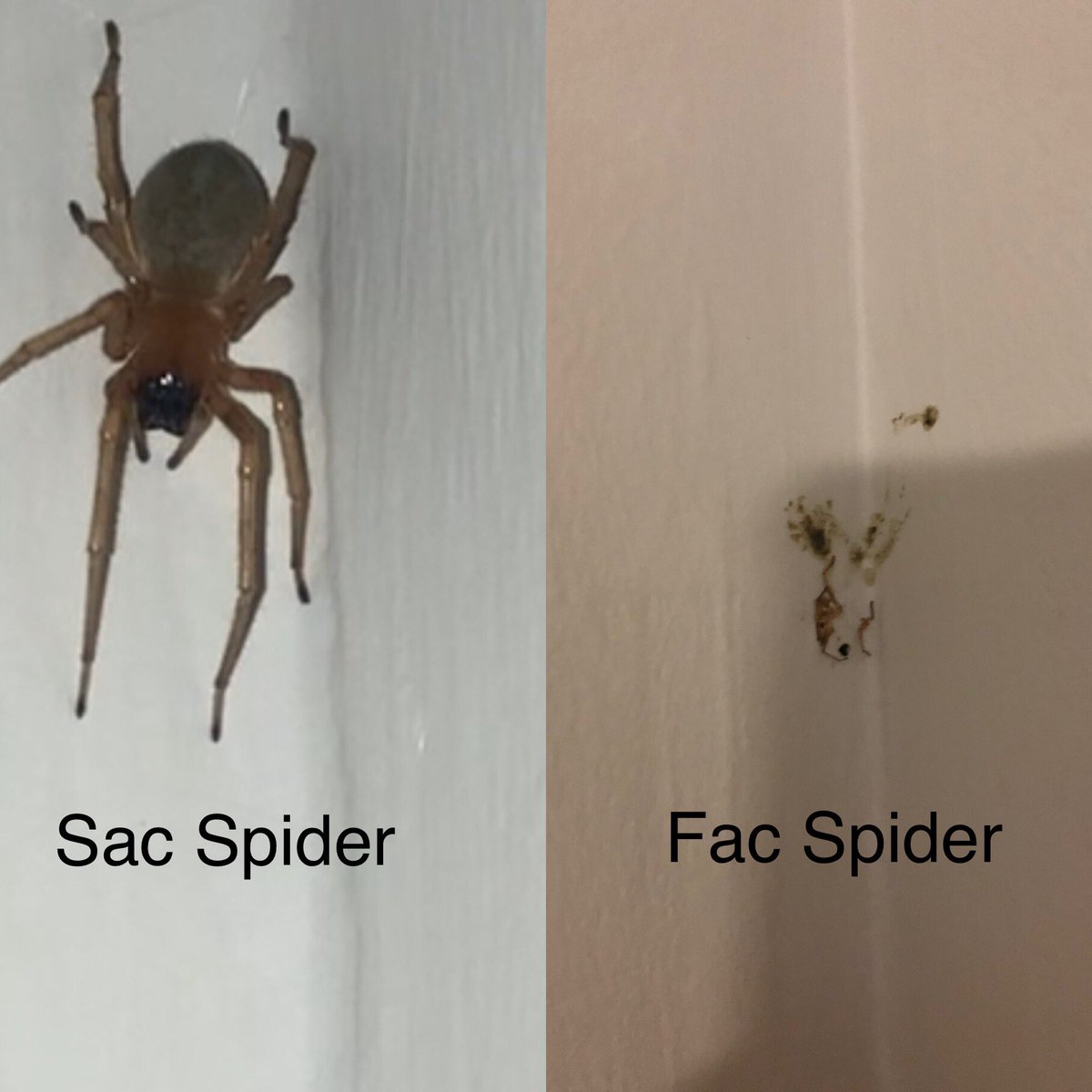 Nicki Abel (@nicki_abel) on Twitter photo 