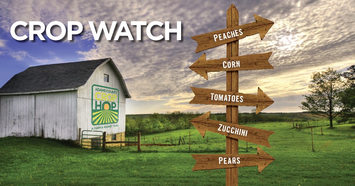 DestGettysburg's tweet photo. 🌽🥒 What's in Season 🍑🍅 #cropwatch #crop2it
Download your passport 👉 https://t.co/htGKfvVi6h https://t.co/IMLivIDEbE