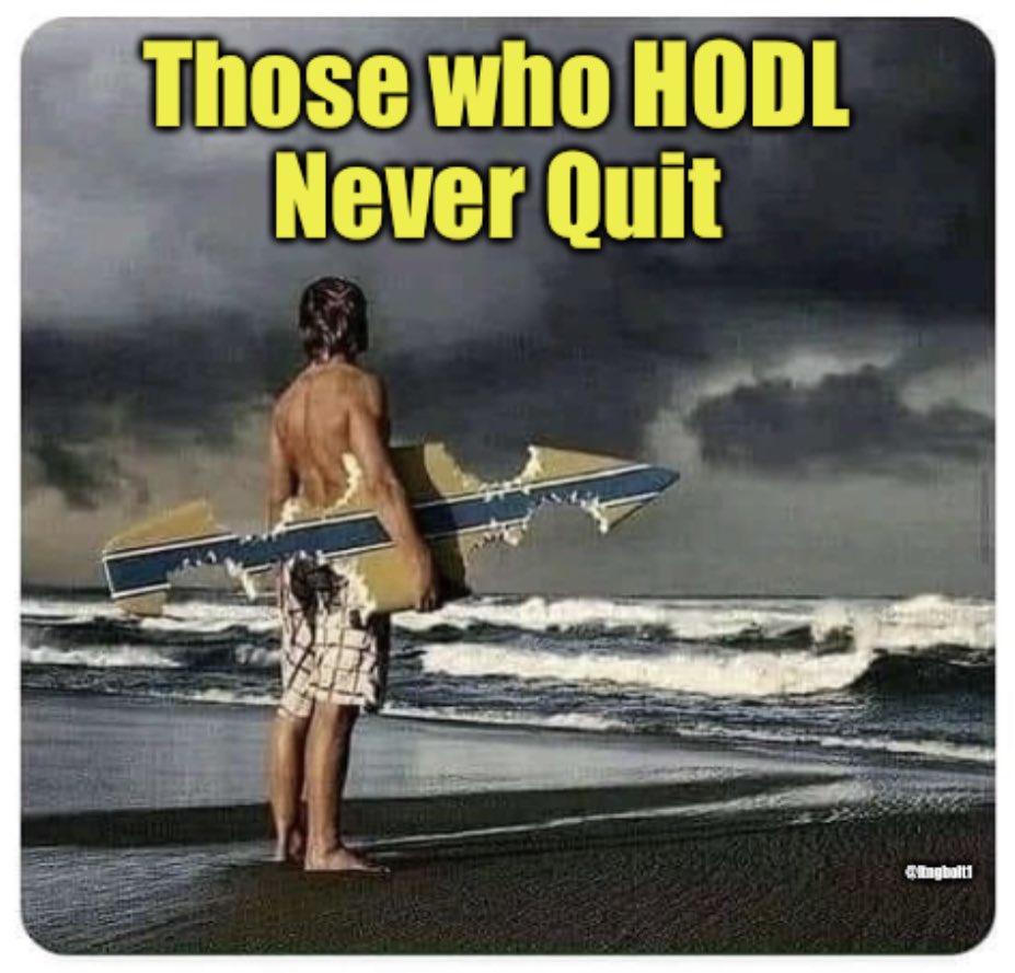 Paul F ❤️⚡️⚡️🐶⚡️⚡️🦀🦍🌖⬆️ tweet media