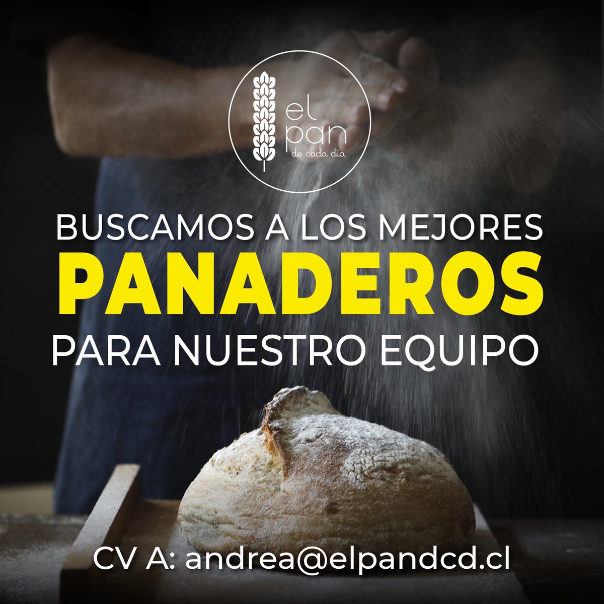 El Pan tweet media