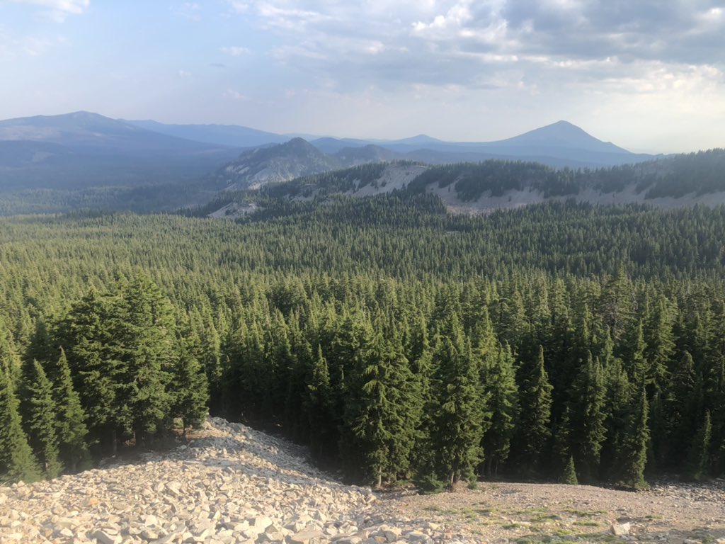 medwards61's tweet photo. After 35 days on the PCT, I have traveled 668 miles. Photos of thru hikers walking the lava flows, the Sky Lakes Wilderness, my view from camp last night, and entering Crater Lake National Park. I had my best day ever yesterday: 32.2 miles https://t.co/yGGqx3cdPr
