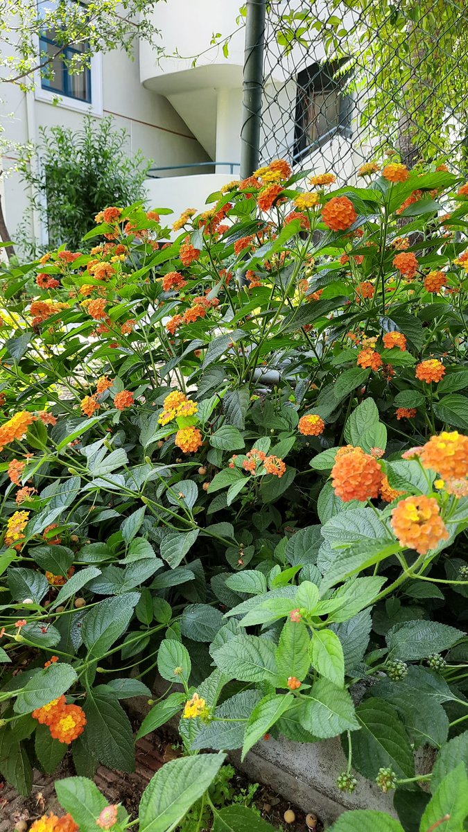 Tolstoy'a sormuşlar:
"Kötü insan nedir?"diye...
Verdiği cevap sarsıcı: 
''Kendi mutluluğundan başka 
hedefi olmayan insan, 
en kötü insandır.'

#GeceyeNotum