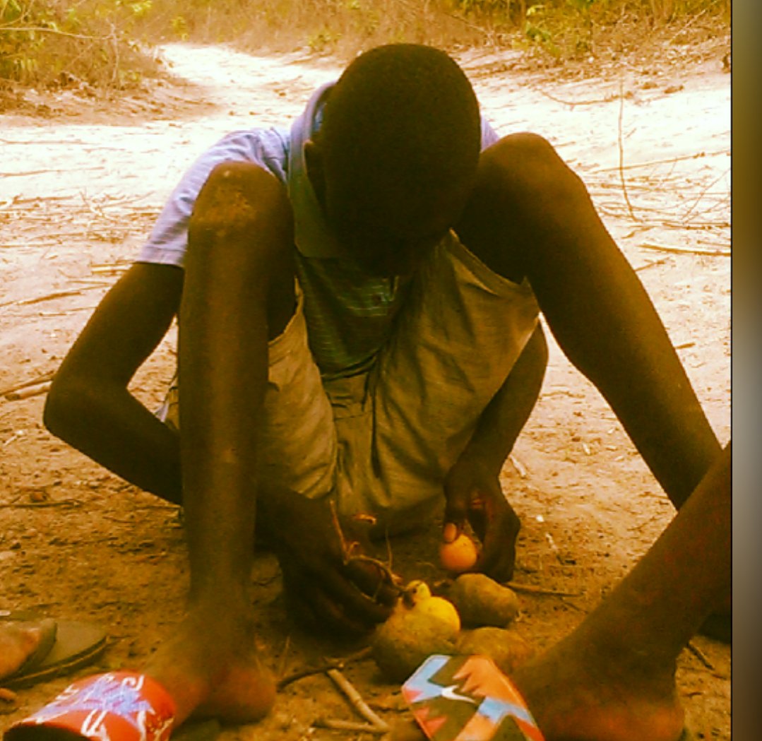 Lamin (@lamin90278213) on Twitter photo 