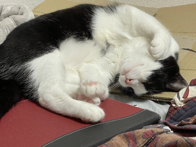 Amazonのダンボールがなんかベッドの上にそのまま放置されている 