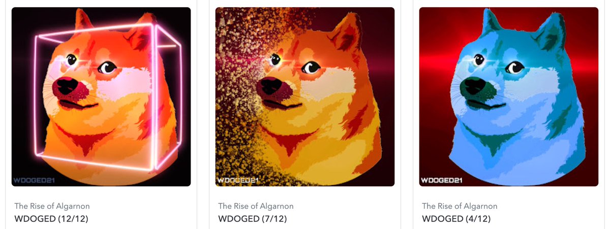 TeekesselBureau's tweet photo. 🥁 @dogehodl2021 proudly presents 🥁
Yesterday we celebrated the first ever
World #DogeCoin Day 🌐
#WDOGED
Today I am an extremely proud owner of 3 adorable new friends ... 🐕🐕🐕
I hope you like them as much as I do ❤️
Which one is your favorite ?
#NFT
#EAKT https://t.co/T8ToFt6bFY
