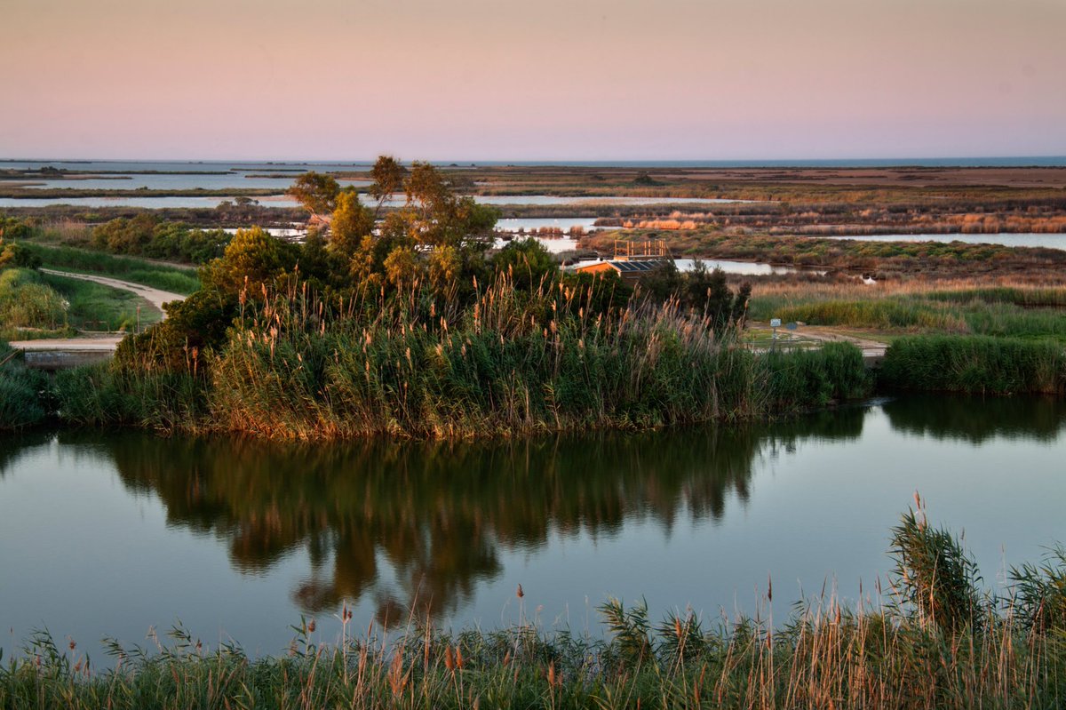 Del 15 al 19 de setembre 
organitzem juntament amb <a href="/DeltaicEco/">Deltaic</a> un viatge exclusiu al Delta de l’Ebre per conèixer la seva realitat social, ecològica i mediambiental.
Últimes places disponibles!
Inscripcions: info@geografica.cat

geografica.cat/event/deltadel…