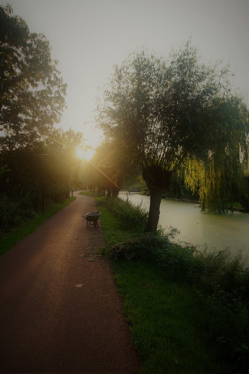 groene_long's tweet image. Zomersnoei met de vrijwilligers van De Groene Long. Wat groen is moet groen blijven. #groen #alblasserdam  
#DeGroeneLong #knotwilg #zomersnoei #natuur #vrijwilligers #parkhuistekinderdijk