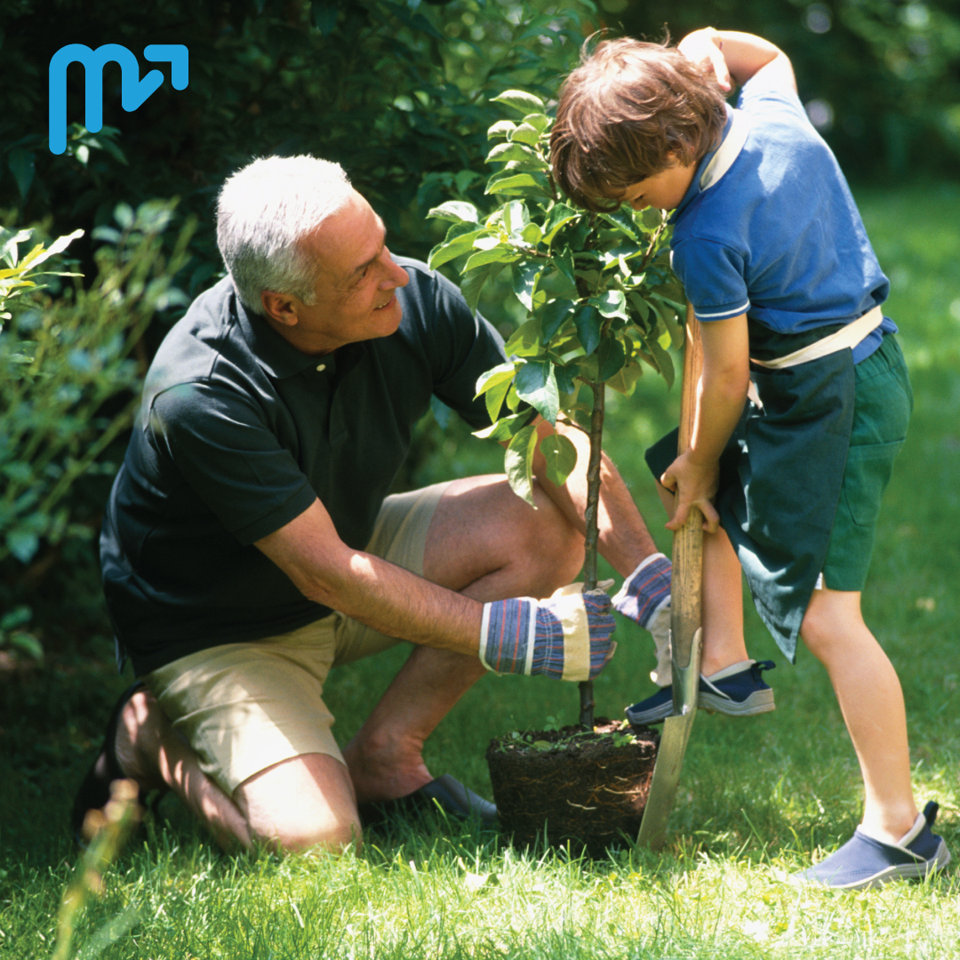 ¡Siembra un árbol! Los árboles son buenos para la salud mental y física. Se ha comprobado que una vista de los árboles en áreas urbanas reduce el estrés, la ansiedad e incluso la tasa de delincuencia.