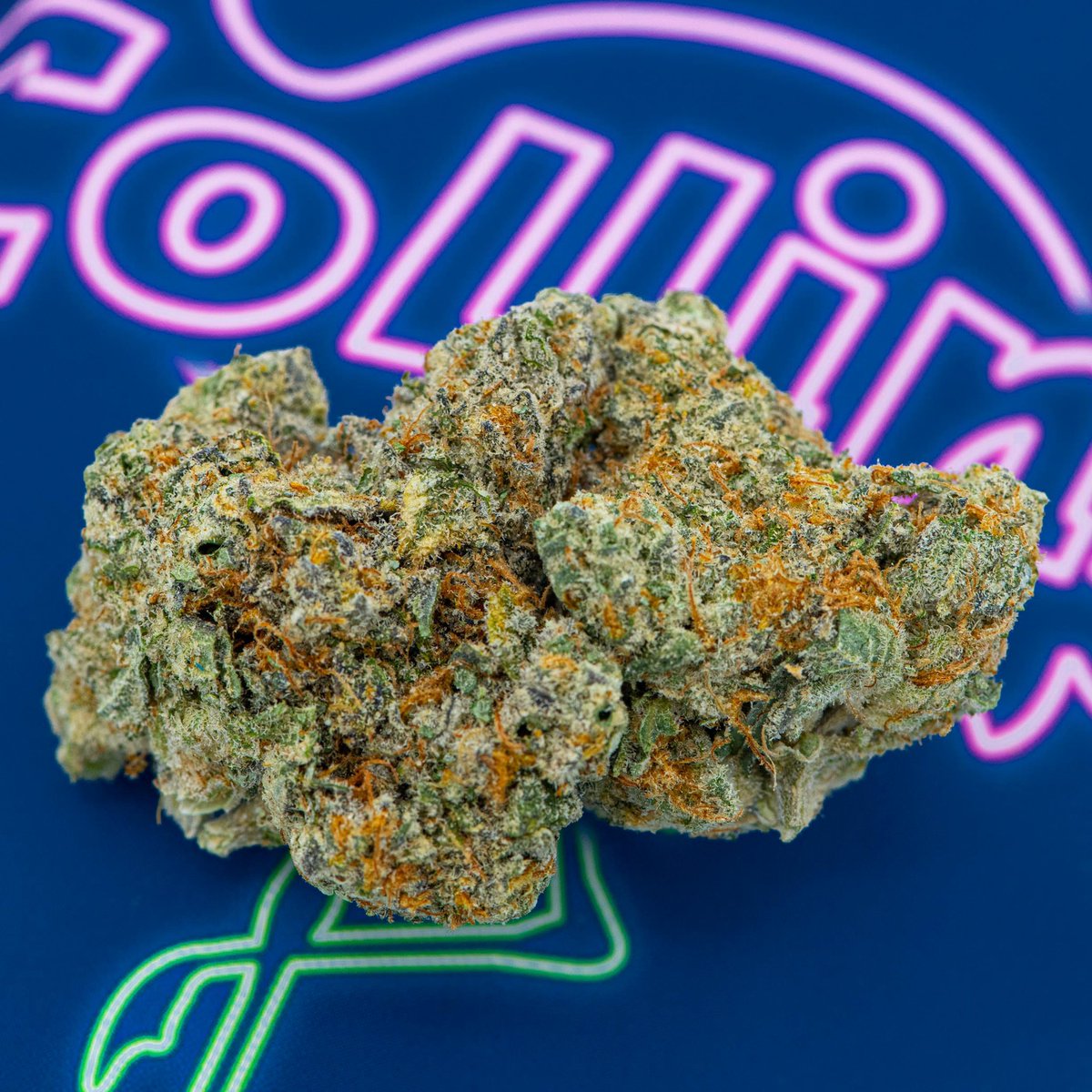 #CollinsAve 🔥 exclusive collaboration with  <a href="/RickRoss/">Yung Rénzél 👑</a>