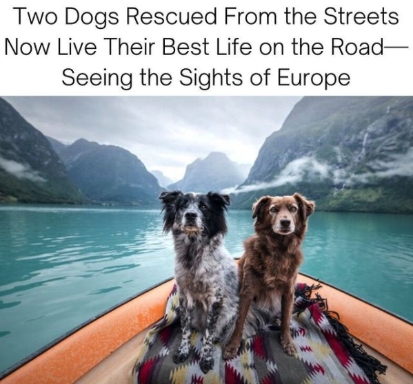 Finally getting what they deserve❤️
Via 📸 goodnewsnetwork
#positivenews #happyending #ninjajournalist