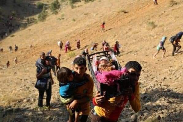 omaralhalw's tweet photo. ٣ / ٨ / ٢٠١٤ اليوم الأكثر سوادا" في تاريخ شعب الايزيدي

#RecognizeYazidiGenocide https://t.co/WKM3D6nJgP