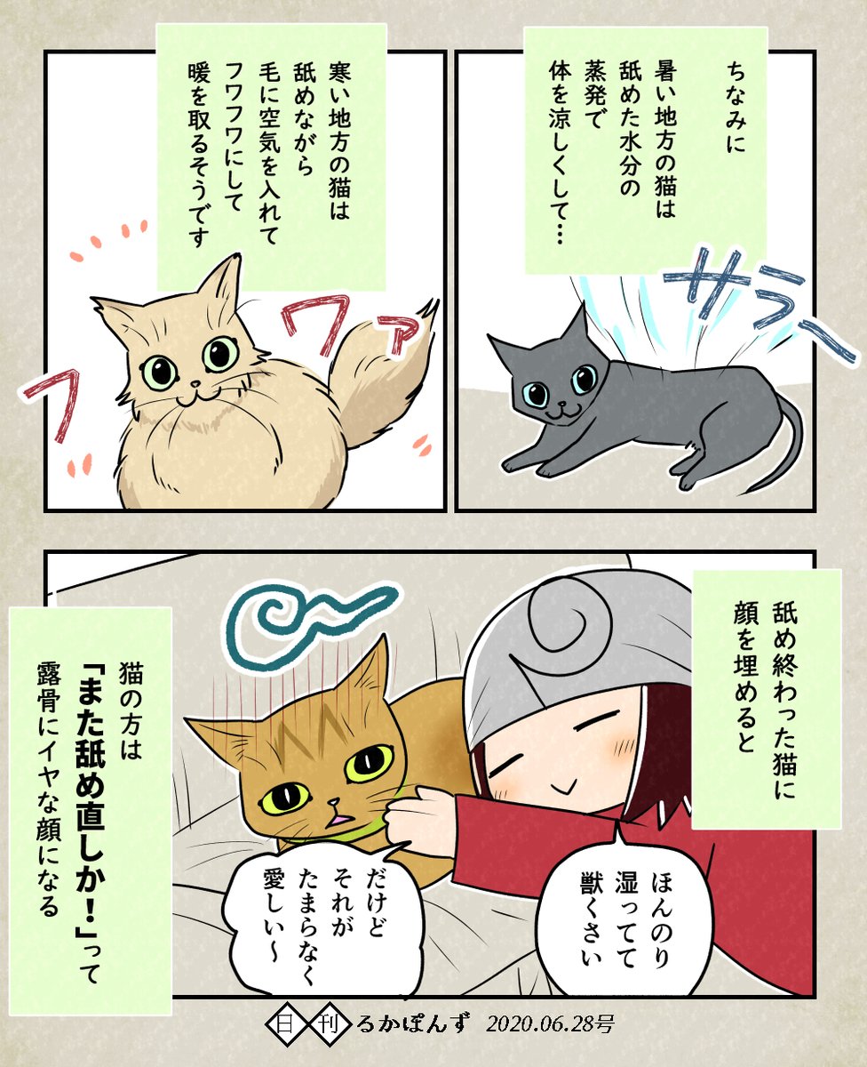 顔はそっくりだけど性格が全然ちがう猫の兄妹を保護した話33

舐めるという行為に隠された心理。

#エッセイ漫画 #猫マンガ #ぬこにっき 