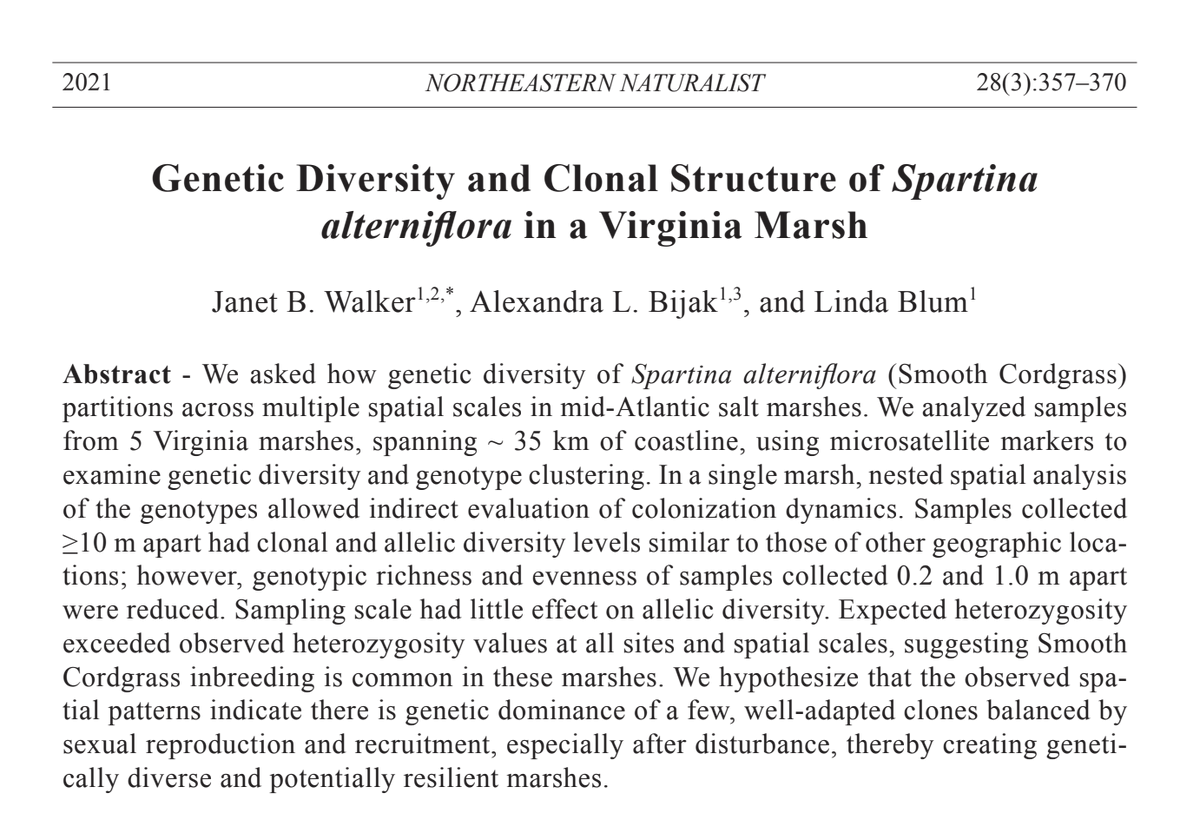 New paper led by <a href="/janbwalker/">Jan Walker</a> examines the genetic structure of #cordgrass populations and suggests that small scale disturbances (wrack deposition, animal trampling, fiddler crab activity) are important to maintaining genetic diversity &amp; #resilience in seaside marshes. <a href="/Nature_VA/">NatureConservancy VA</a>