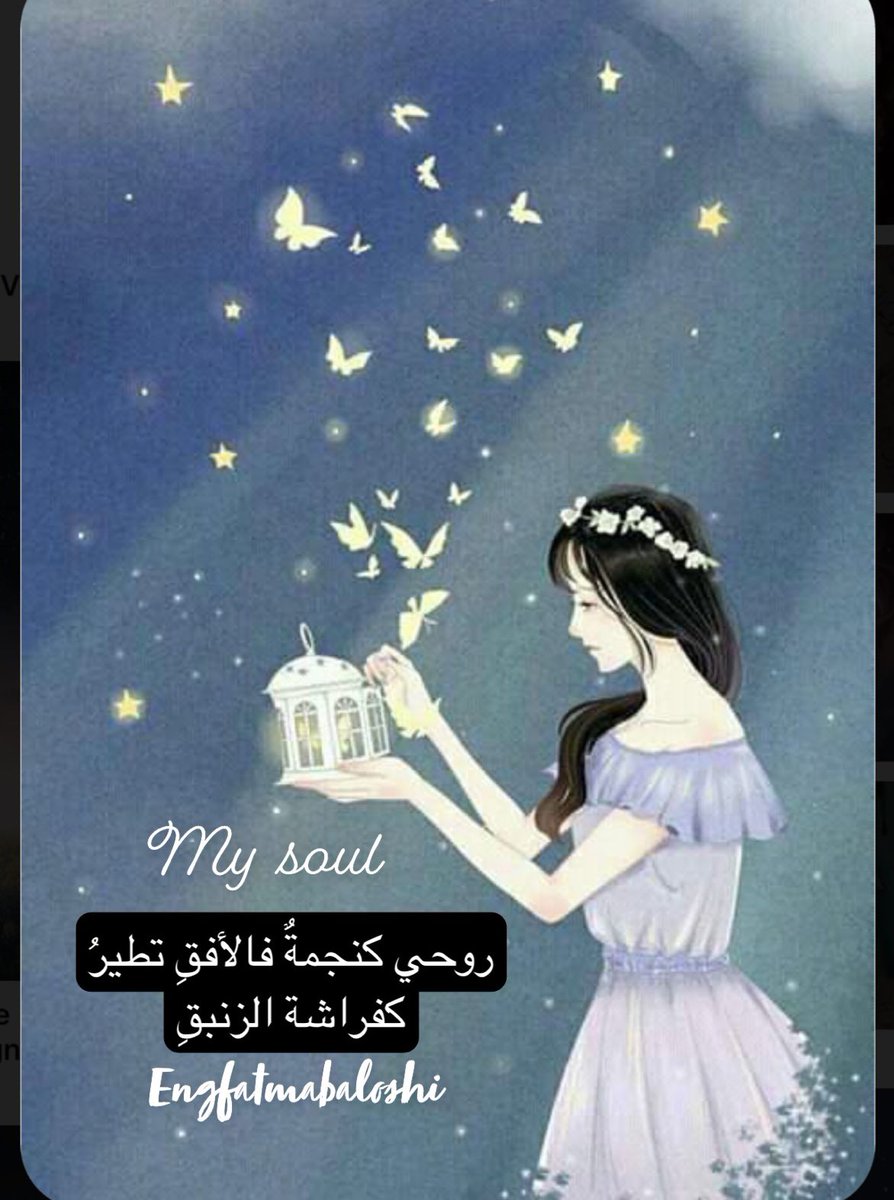 ✍🏻روحي كنجمةٌ فالأفقِِ تطير كفراشة الزنبقِ🦋 #صباح_الخير #خريف_ظفار_2021