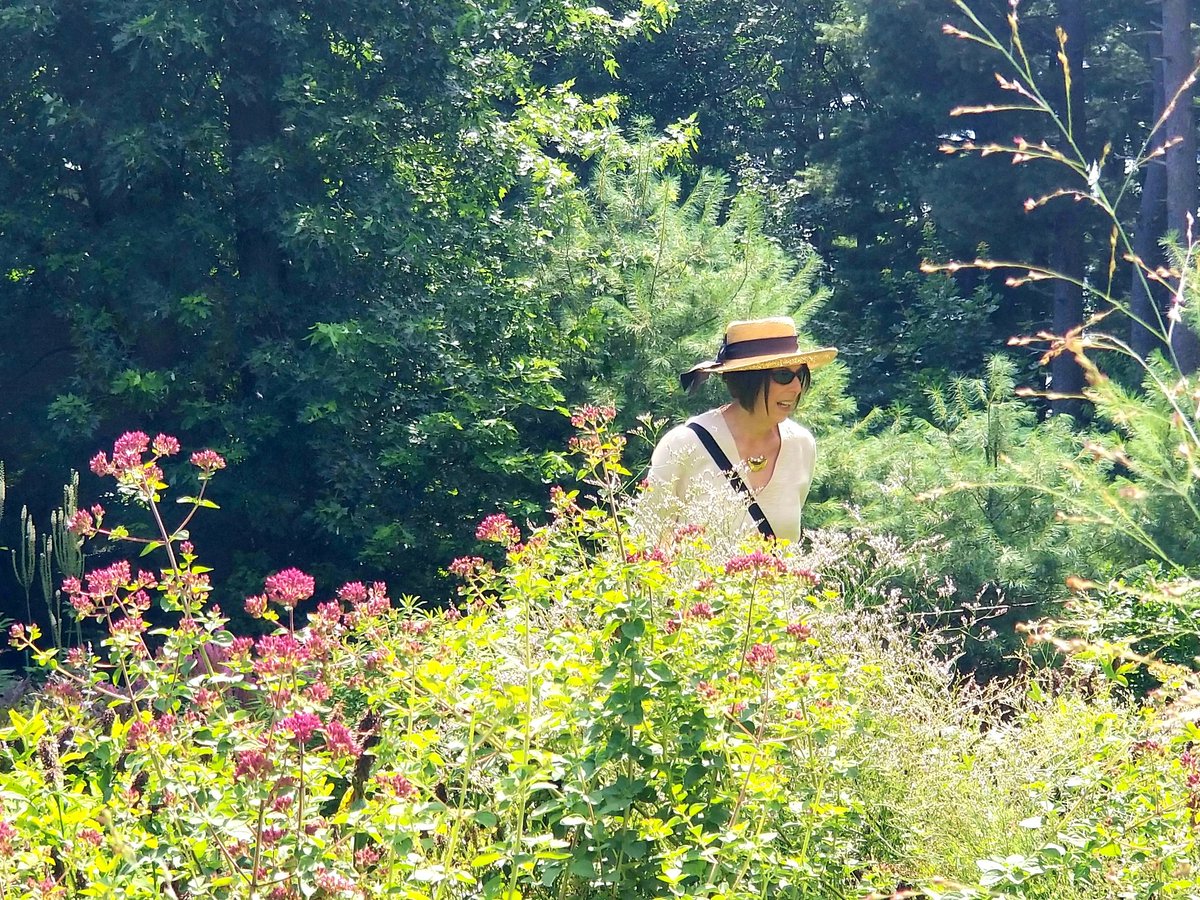 FriendsGoodnow's tweet image. Thursday Garden Club of Sudbury enjoyed a guided tour of the garden at the home of Deborah Chud July 2021
@pietgarden
#gardens #NewEngland #TGCSudbury  #landscapedesign #gardendesign #LiveInMetrowest
#pietoudolfinspired
instagram.com/tv/CR_oPi3HIDu…
