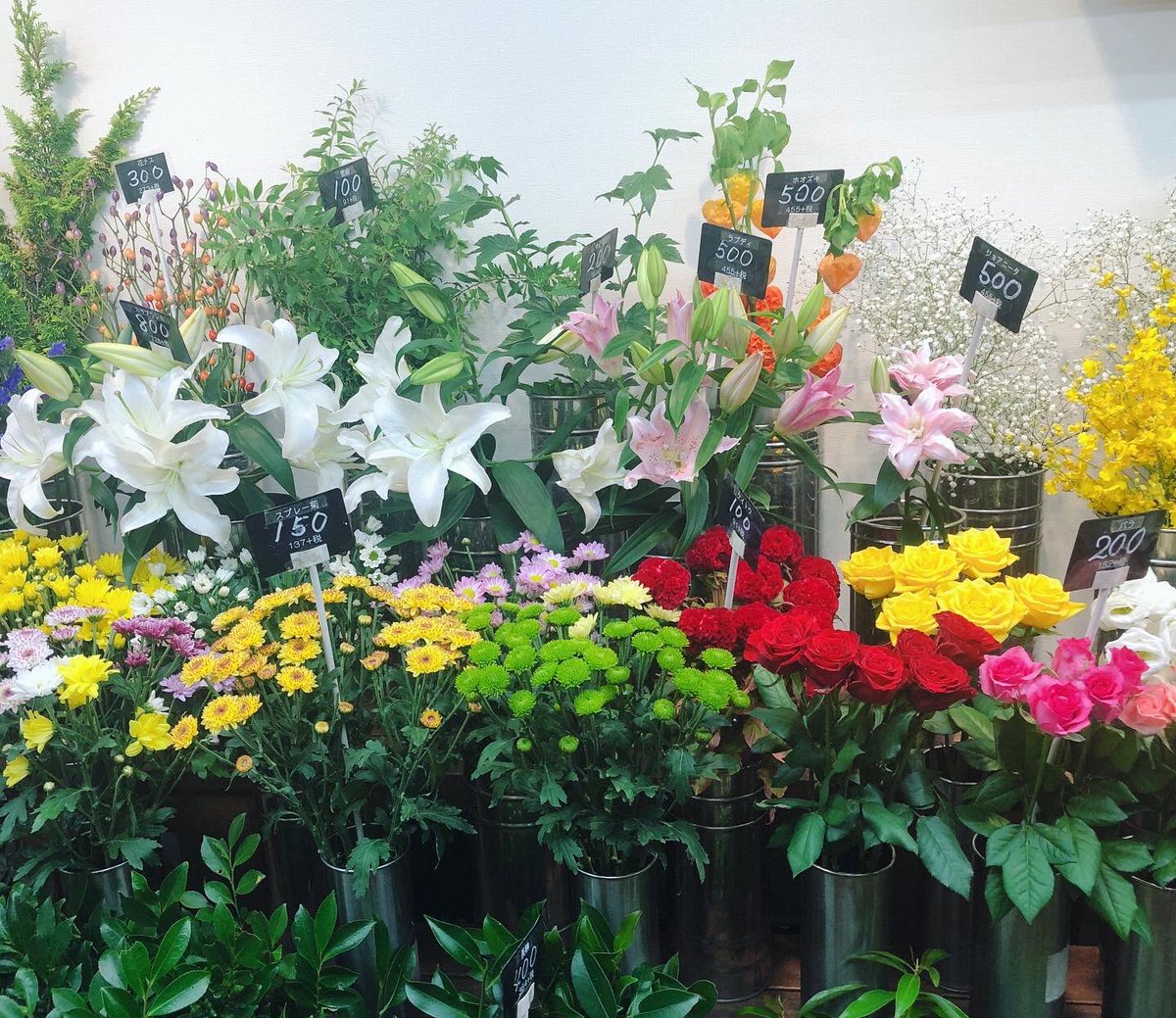 黒沢生花店 Kurosawaflower Twitter 黒沢生花店 Kurosawaflower Twitter
