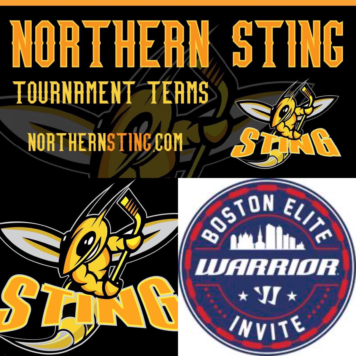 Northern Sting Hockey Club tweet media