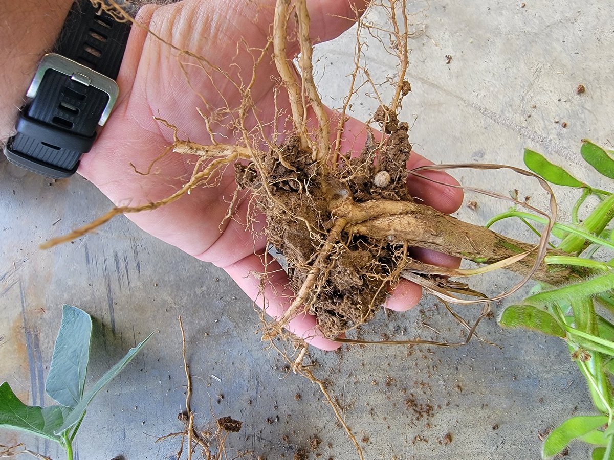 Chris weaver tweet media