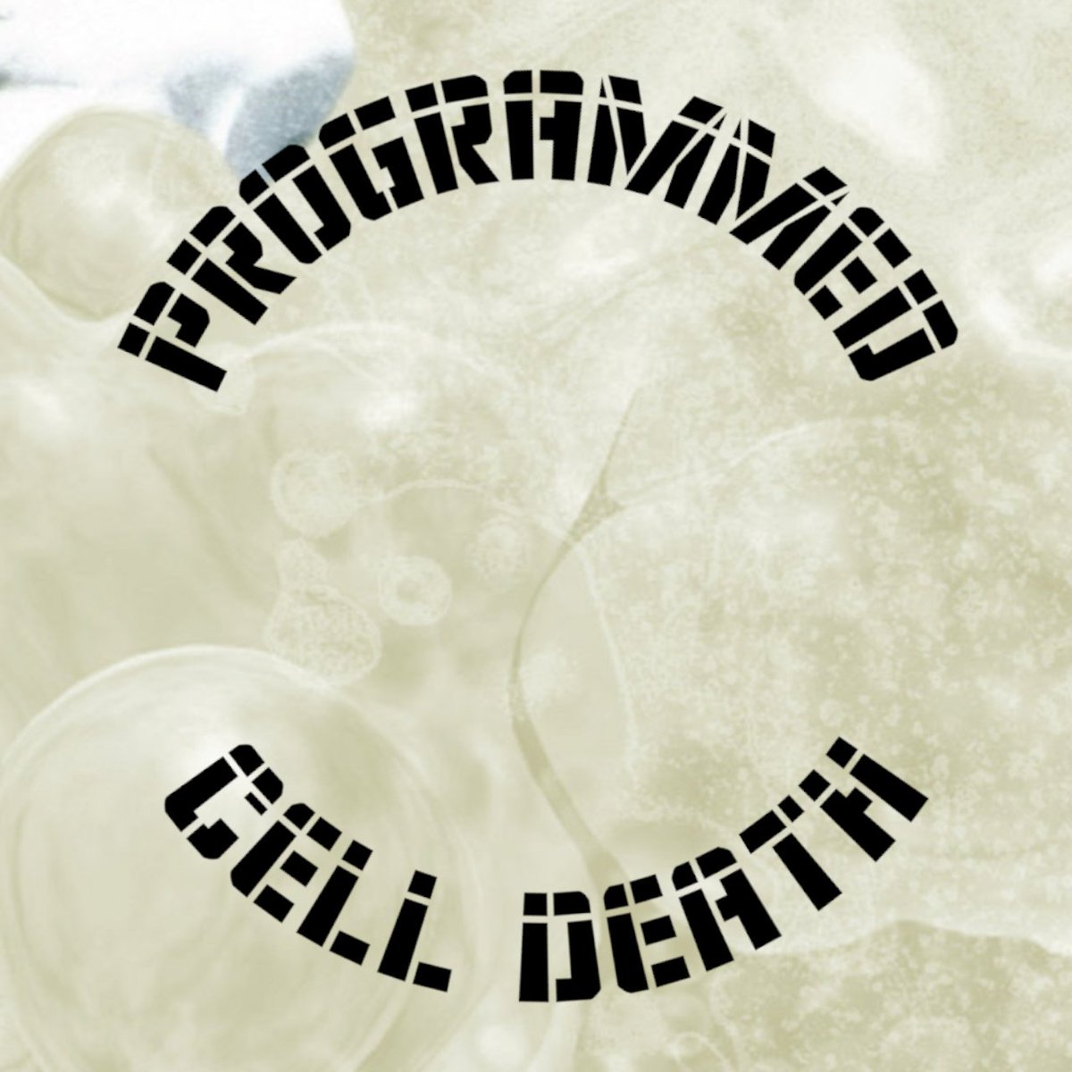 KeyaNemesis's tweet image. @joemoocha put me on an immortal sound wave that&apos;s vibing globally.
Asante Bro
 #programmedcelldeath
#lalasalama