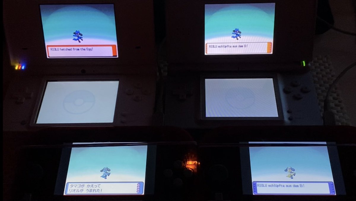 Shiny Riolu from Riley‘s gift egg after 4212 egg hatches. I‘m still in disbelief that I actually got it. One of my biggest hunts that I‘ve done so far :D