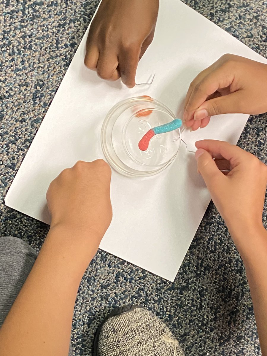 MissKessler_EH's tweet photo. We rocked our first day with a fun STEM activity and learning how to collaborate! #firstdayofschool #thirdgrade https://t.co/lQ5gMHkadJ