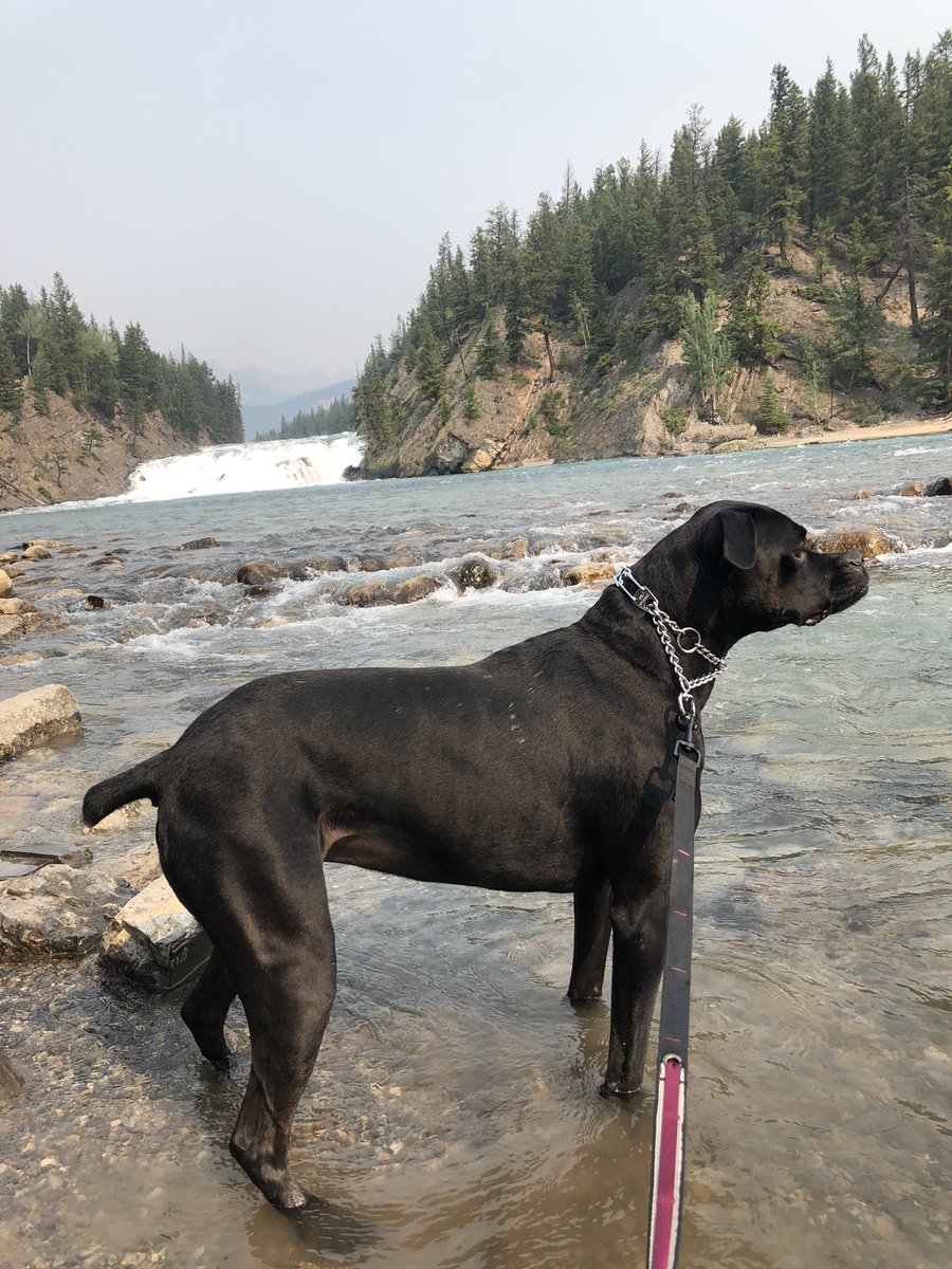 Maggie goes to #banff