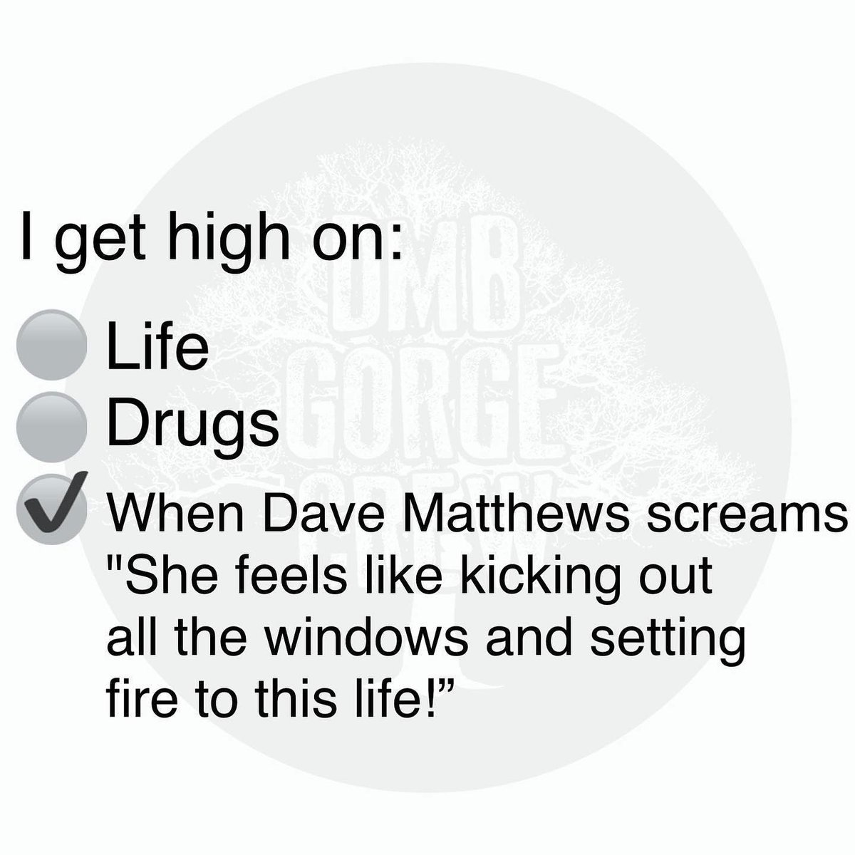 DMBGorgeCrew's tweet photo. Unmatched. https://t.co/XhFnI3OGzD