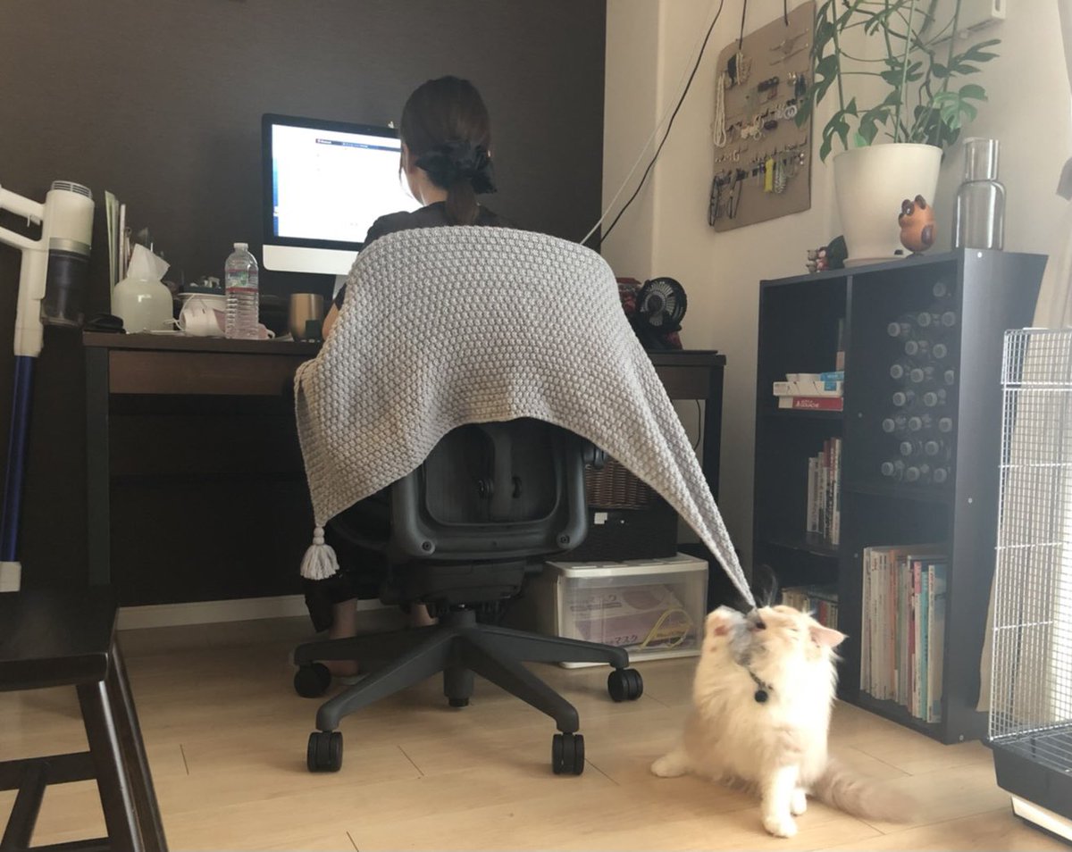 iiaramno's tweet photo. いたずらっ子、おにぎりの形 https://t.co/Taj3UOjv2T