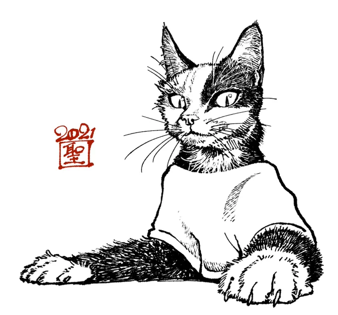 おはこんばんちわ 