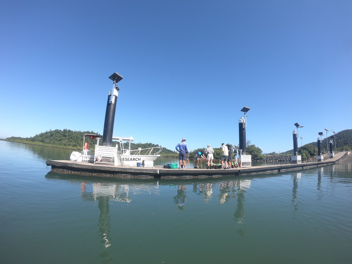 Phase 2 of groundbreaking #seagrass restoration in the #GreatBarrierReef has begun in Mourilyan Harbour! 

Thanks to everyone who came out to help including <a href="/jcu/">James Cook Uni</a> students, <a href="/ozfishunlimited/">OzFish</a> and Mandubarra rangers. 

Watch this space for project updates!

#generationrestoration