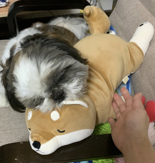 犬の気持ちのtwitterイラスト検索結果