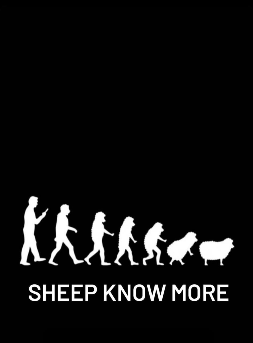 Art 🇺🇸 🇺🇸 (@artjlynch3) on Twitter photo 