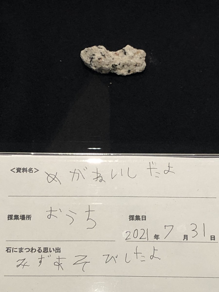 MieMuで現在開催中の第28回 #企画展「#やっぱり石が好き！三重の #岩石