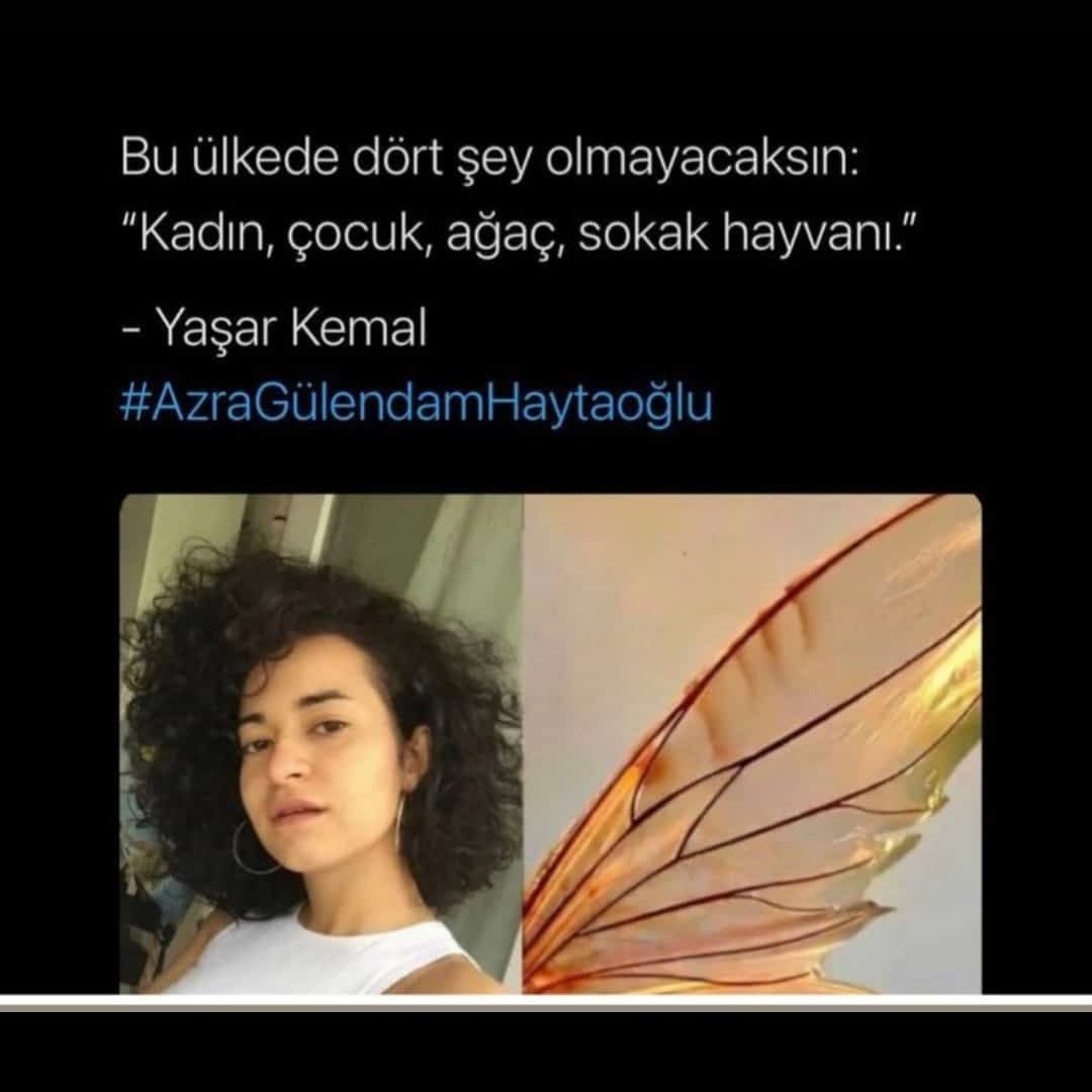 Çok doğru bir laf