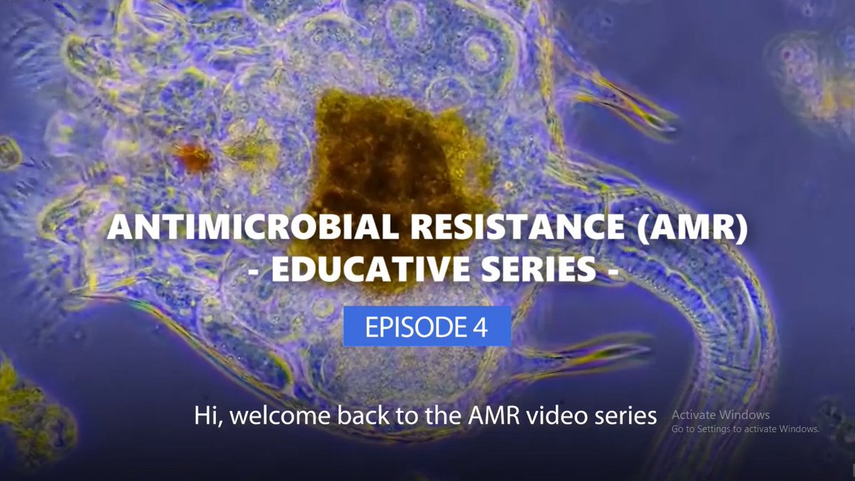 beat_the_bugs's tweet photo. What factors contribute to the surge in #drugresistant #infections?
 
In #episode4 of #KnowSomethingAboutAMR series we focus on common behaviors that heavily contribute to #AntimicrobialResistance, applying a  #OneHealthApproach. 

Watch the video here👇:
https://t.co/cliDg8BmEd https://t.co/Ia1PwTlBVr